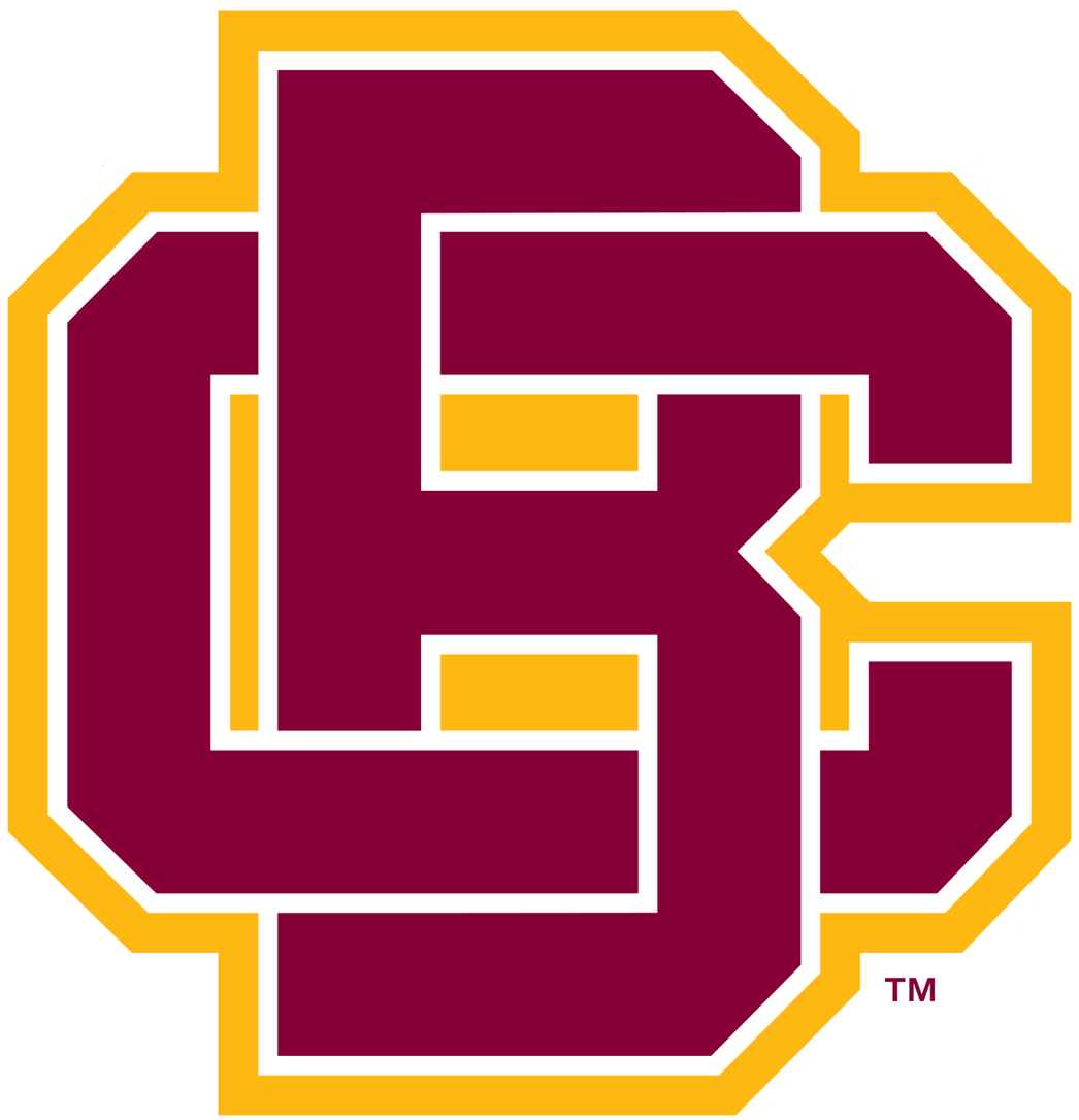 Bethune-Cookman Wildcats 2016-Pres Primary Logo iron on transfers for clothing